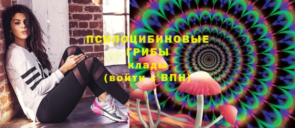амф Беломорск