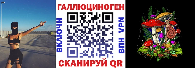 Псилоцибиновые грибы Psilocybine cubensis  гидра как зайти  Городец 