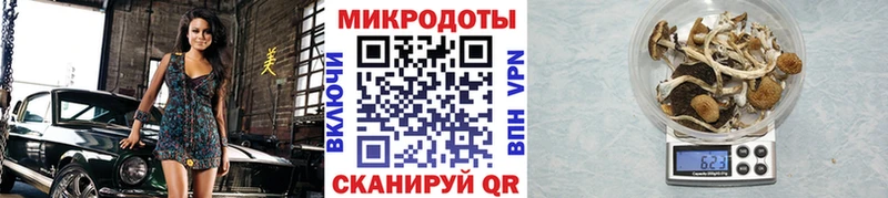 Галлюциногенные грибы GOLDEN TEACHER Городец